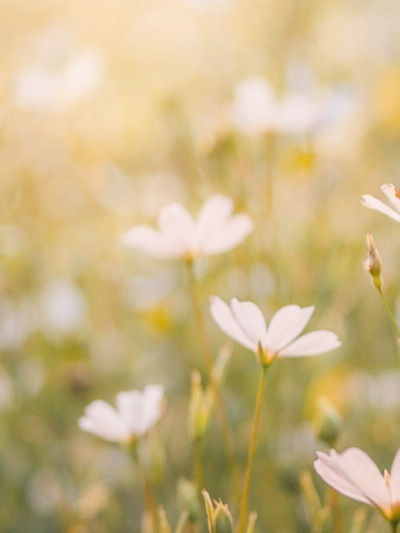 sfeerafbeelding van Psycholoog Gouda